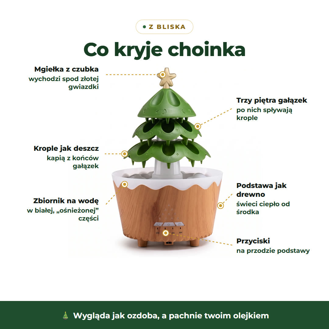 Infografika: budowa choinki-dyfuzora, gwiazdka, gałązki, zbiornik, podstawa, przyciski